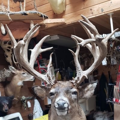 Turkey917's profile picture. 