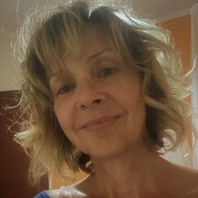 Teacher at secondary school, eTwinning Ambassador, Teacher trainer, Junior Achievement teacher, Microsoft Innovative Educator Fellow