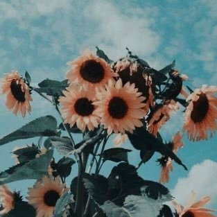 leah34250211's profile picture. 𝗛𝗶♡︎hope your having a good day