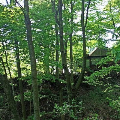 ECurveGenerator's profile picture. here for spacez