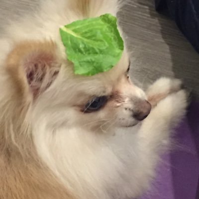 Rumiさんのプロフィール画像