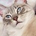 DovahNoodles 🦋 (@dovahnoodles) Twitter profile photo DovahNoodles 🦋 (@dovahnoodles) Twitter profile photo