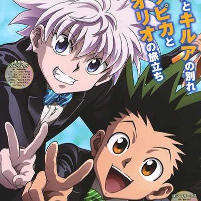 Hunter x Hunter loops, dms and cc open for requests!!