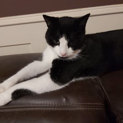 Steph_with_Jess's profile picture. Country Bumpkin~Tequila Drinker~Jam Maker~Tory Hater~Ex Raver. #notmyking #Autistic #FirstGen #Teacher #wine #LGBTQ #ADHD