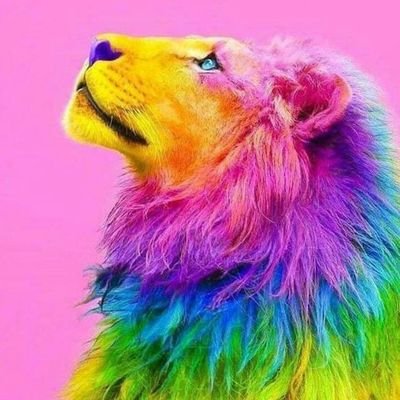 BukanaOnyi's profile picture. Humble and keen to learn. /Proudly @manutd fan🔴/ Don't talk cos it's cheap