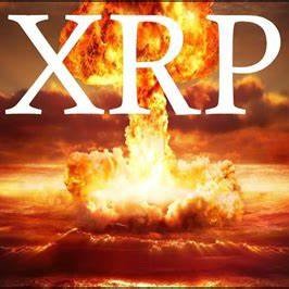 XRP_IAN's profile picture. 