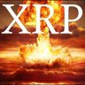 XRP_IAN's profile picture. 