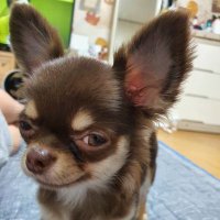 언제나섹스를허고싶은남자 (@dakjp12) Twitter profile photo