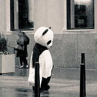 Ucan Panda (@ucan_panda34) Twitter profile photo