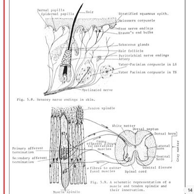 Storm46280284's profile picture. Views are my own.