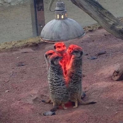 CarterVIII's profile picture. 