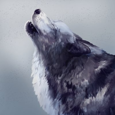 レオンさんのプロフィール画像