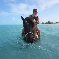 Tripp (@tplam93) 's Twitter Profile
