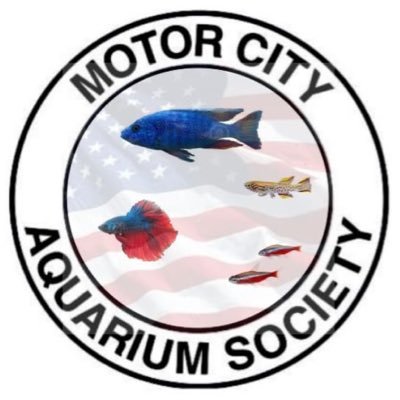 We are a non-profit formed to further the study of all aquatic life, exchange information, & encourage the display and propagation of aquatic life forms.