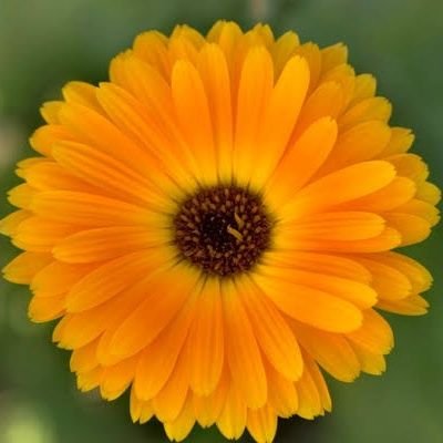 L.C.C. Madre soltera, enamorada y también de la vida #UNACH