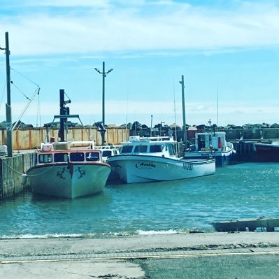 Rheal49235267's profile picture. 