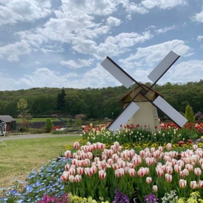 fresa0516's profile picture. 夫と8歳(2016.3.14)と4歳(2020.11.30)と暮らしています。デイのパート相談員。完璧主義者の大雑把。 理想と現実の間。動物動画は癒しです。 プチプラコスメ集めもハマってます。無言フォロー失礼致します。