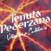 La Tenuta Pederzana coltiva un clone di Grasparossa unico al mondo, dal quale nasce un Lambrusco Grasparossa di Castelvetro DOC dalla lunga storia.