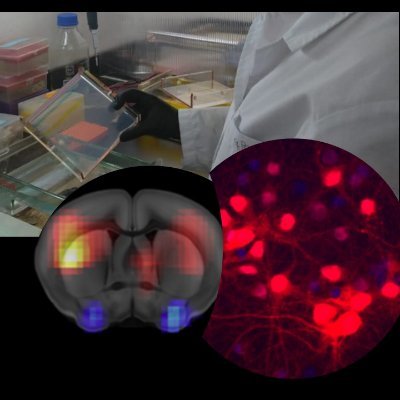 Elena Avale @TEPN lab Profile