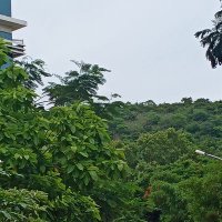 Naresh Kumar R (@nareshkumar7707) 's Twitter Profile