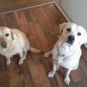 martin mason - @roxymason1 - Twitter