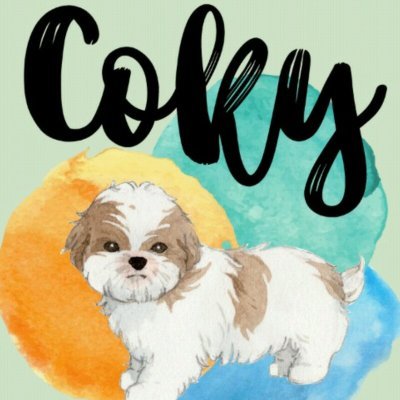 Soy Santi Cano y tengo un perrito que se llama Coky.