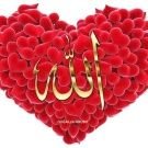 GILL (@gill_581) 's Twitter Profile