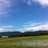 teramoa