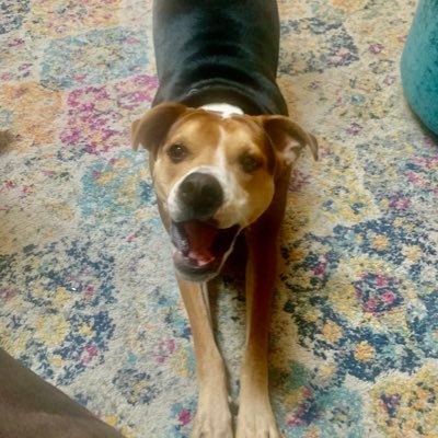 EduGerber43's profile picture. Educator + Health Coach