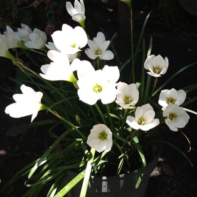 Yolotzi20747157's profile picture. 