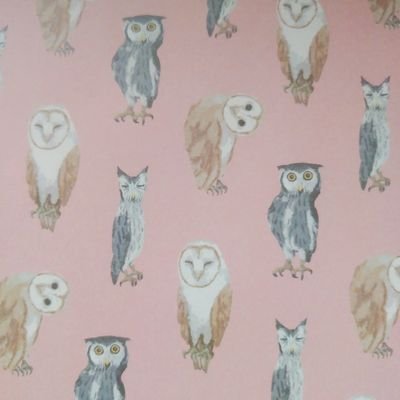 1024Ajyu's profile picture. 生まれも、育ちも、上越市。