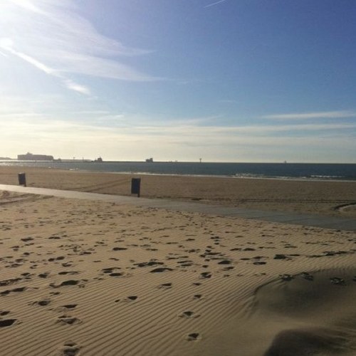 Dechibeach's profile picture. Strandpaviljoen Dechi Beach, gelegen op het mooiste plekje van HvH, uitzicht over strand, zee en Waterweg. beheerd door Vienna Kunz - eigenaresse