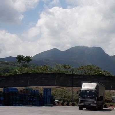 kennedy1916's profile picture. macho