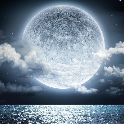 sofihayat1's profile picture. you live once, so live it well..