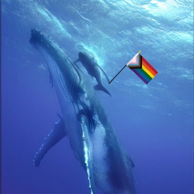 awhalefact Profile Picture