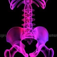 Fw0senjyou's profile picture. 青森、sm.奴隷.服従.腹パン.玩具責め.イラマ.
呼吸管理.首輪ect..