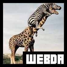 BokeRoU's profile picture. この人物に関連するキーワード：
WEBdesign,三茶,下北沢,太子堂,座間,自転車,ジョギング,cafe好き,日本酒,dreamweaver,flash,aftereffects,趣味を広げたい！,青森出生,混浴風呂,snidel,gelatopique,frayid,