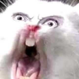 lordpurplenuts's profile picture. 