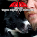 Ouwe Jan ☂️🐶♥️ (@ouwe_jan) Twitter profile photo Ouwe Jan ☂️🐶♥️ (@ouwe_jan) Twitter profile photo