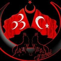 🇹🇷 𝕄𝕒𝕧𝕚 𝔾𝕌𝕄𝕌𝕊𝔹𝕆𝔾𝔸 🇹🇷 (@mavianka06) 's Twitter Profile
