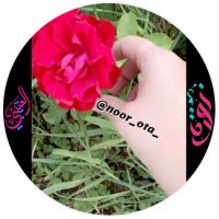 نورة الـعتيبي 🌸 (@noor_ota_) 's Twitter Profile