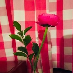 violett91539863's profile picture. 2025年心理系大学院修了
心理職1年目　公認心理師🍒