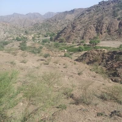 9tsqq0tV3wcpJLZ's profile picture. الاحئترام واجب. علا سغير وكبير وهوفرضآواجب علا كل مسلم