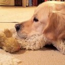 Mark Warden - @markwardenrg29 - Twitter