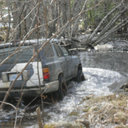 Darcie Foley - @pumba1239 - Twitter