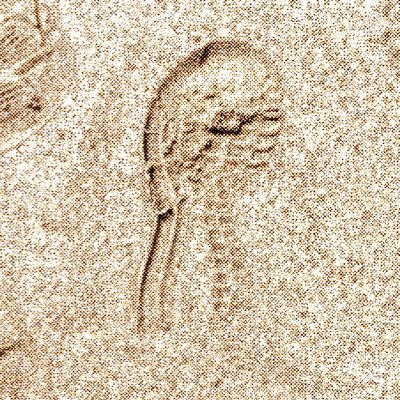 LBSUDOUEST's profile picture. Papa, Mari, Président, citoyen... 😂