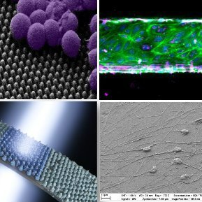Isabel Rodríguez's Lab, We are in IMDEA Nanoscience! #Microfluidics, #Nanostructured_surfaces, #Nanobiotech #3D_printintg  @IMDEA_Nano