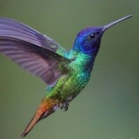 Stockport User Friendly Fellowship CIO 1193586 (@stockport_uff) 's Twitter Profile Photo