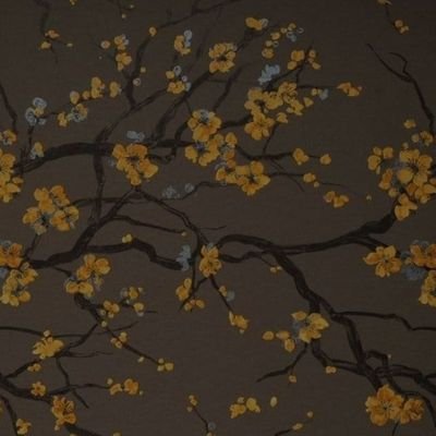 la_Tulipe__00's profile picture. I'm a stranger here myself