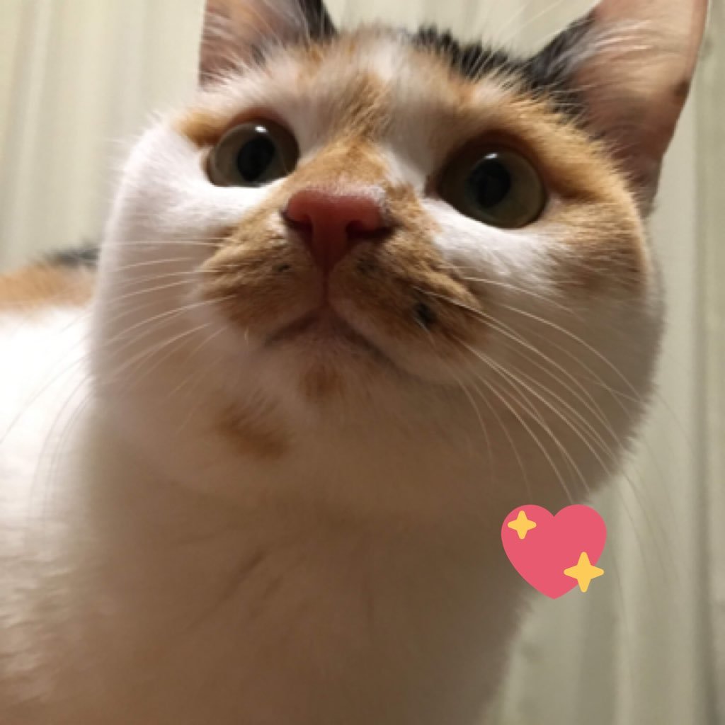 gapPPpNR7Ow1MAn's profile picture. 